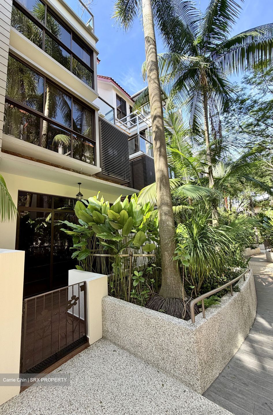 Holland Link (D10), Terrace #554685051